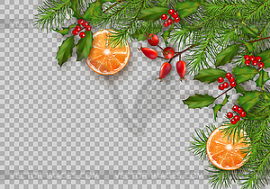Рождественская еловая граница - клипарт в векторе / векторное изображение
