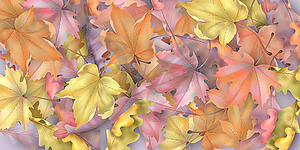 Autumn leaves background - vector clipart
