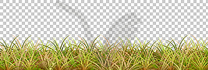 Grass Border - vector clipart