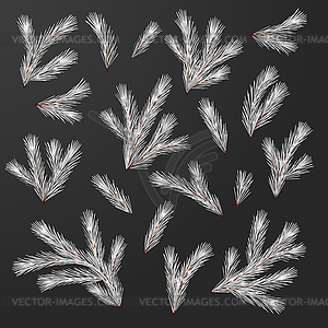 Set of Fir Branches - vector clip art