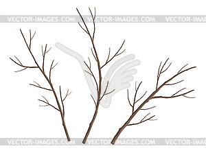Set of Tree Branches - vector image