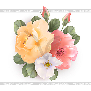 Bouquet of roses - vector clipart