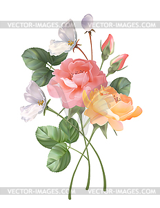 Bouquet of roses - vector clip art