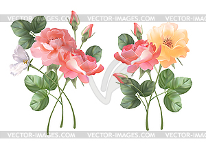 Set of flower bouquets - vector image