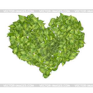 Green Leaves Heart - vector image