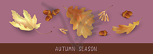 Autumn Season Banner - vector image