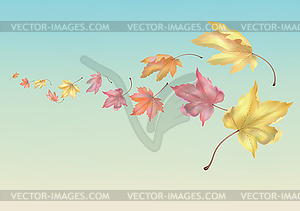 Flying Autumn Leaves - vector clip art