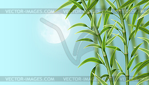 Landscape with bamboo - color vector clipart