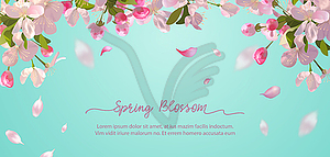 Spring Blossom Background - vector clip art