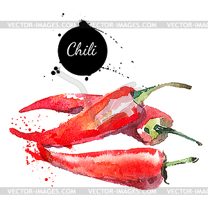 Chilli. watercolor painting. Vect - vector image