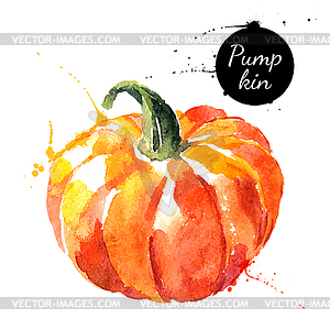 Pumpkin. watercolor painting. Vec - vector clipart