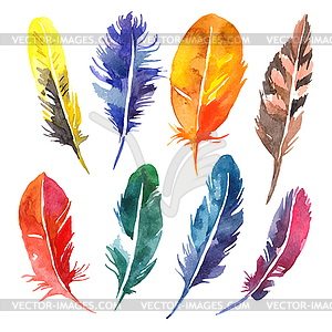 Watercolor feather set - vector clipart