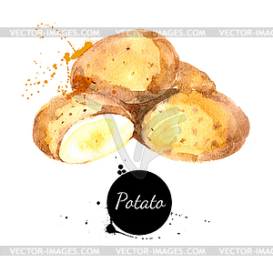 Watercolor painting. illus - vector clipart / vector image