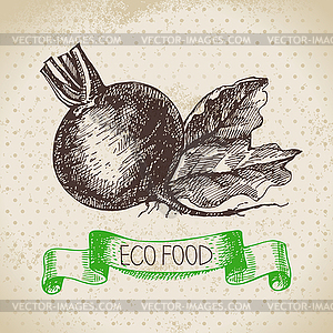 Sketch beet vegetable. Eco food background. ill - vector clip art