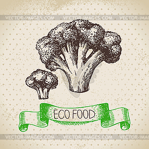 Sketch broccoli vegetable. Eco food background - vector clipart