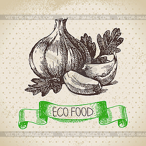 Sketch garlic vegetable. Eco food background. i - vector image