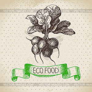 Sketch radish vegetable. Eco food background. i - vector image