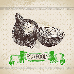 Sketch onion vegetable. Eco food background. il - vector clipart