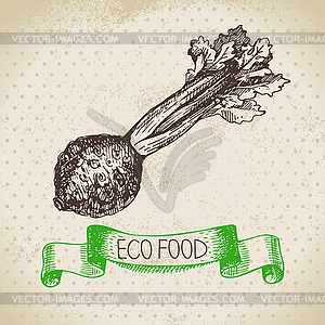 Sketch celery vegetable. Eco food background. i - vector image