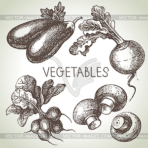 Sketch vegetable set. Eco foods - vector clip art