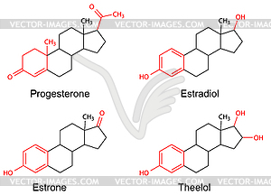 Structural formulas of female sex hormones with - vector clip art