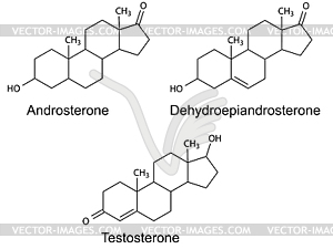 Structural formulas of male sex hormones - vector EPS clipart