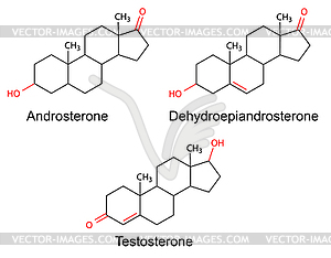 Структурные формулы мужских половых гормонов с Марке - векторный клипарт