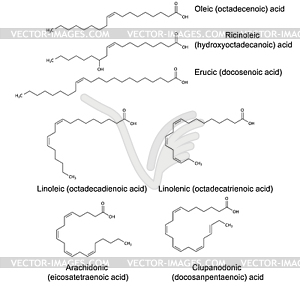 Structural chemical formulas of unsaturated fatty - vector image