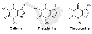 Структурные химические формулы пуриновых алкалоидов - векторный клипарт / векторное изображение
