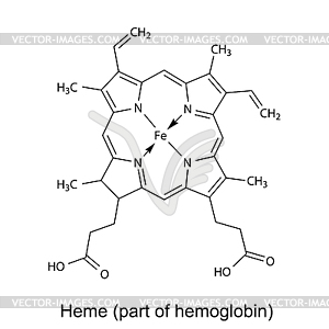 Структурная химическая формула гема молекулы - векторное графическое изображение