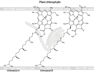 Structural chemical formulas of plant pigments - vector clipart