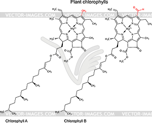 Structural chemical formulas of plant pigments - royalty-free vector image