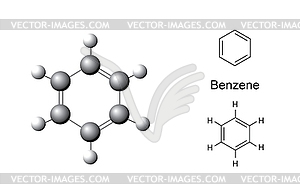 Structural formulas and chemical model of benzene - vector clipart