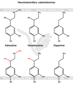 Structural chemical formulas of neurotransmitters - stock vector clipart