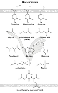 Structural chemical formulas of basic - vector clip art