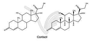 Structural chemical formulas of cortisol - vector clipart