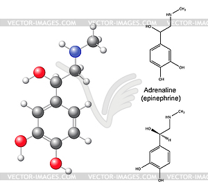 Structural chemical formulas and model of adrenalin - vector clipart