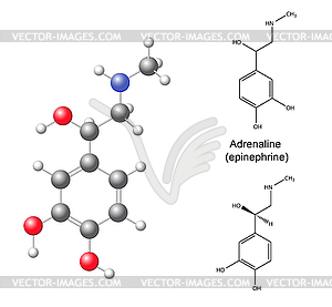 Структурные химические формулы и модели адреналина - иллюстрация в векторе