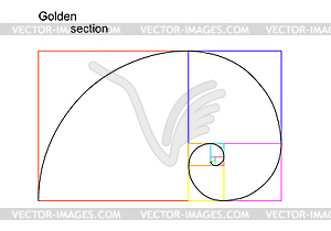 Золотое сечение (отношение, пропорция) - векторный клипарт