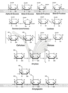 Химические структурные формулы основных углеводов - иллюстрация в векторе