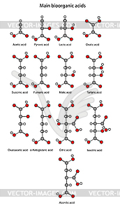 Структурные химические формулы основной биоорганической - изображение в векторе / векторный клипарт