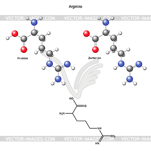 Arginine (Arg) - chemical structural formula and - royalty-free vector image