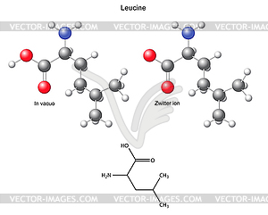 Leucine (Leu) - chemical structural formula and - vector clipart