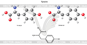 Tyrosine (Tyr) - chemical structural formula and - vector image