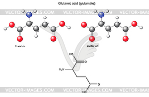 Glutamic acid (Glu) - chemical structural formula - vector image