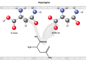 Аспарагин (ASN) - химическая структурная формула и - векторный графический клипарт