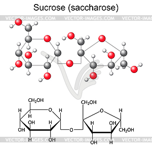 Structural chemical formula and model of sucrose - vector clipart