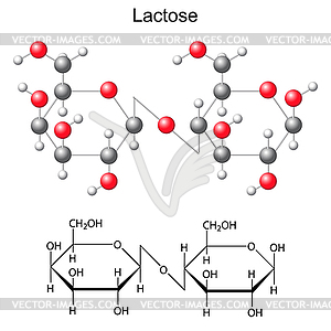 Chemical formula and model of lactose molecule - vector clipart / vector image