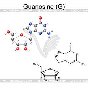 Structural chemical formula and model of guanosine - vector clipart