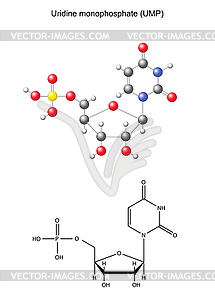 Structural chemical formula and model of uridine - royalty-free vector clipart